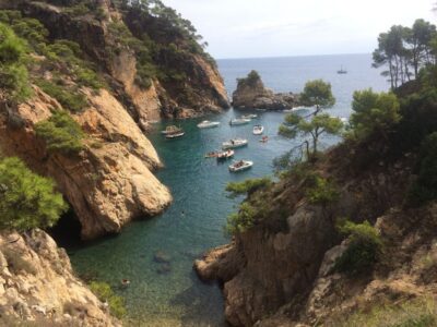 From Barcelona: Costa Brava Hike, Snorkel & Tossa de Mar - Camí de Ronda: cliffs, pine scents, and the best kind of break—getting in the water
