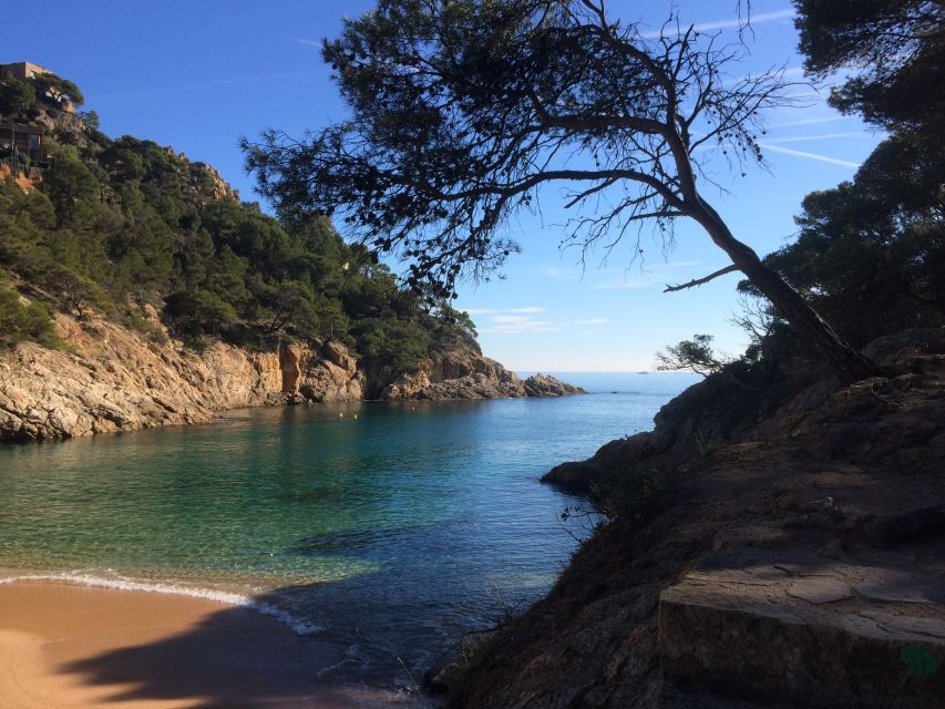 From Barcelona: Costa Brava Hike, Snorkel & Tossa de Mar - Tossa de Mar breaks: lunch time you control, old town time you don’t waste