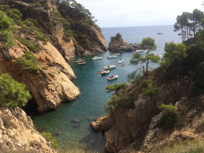 From Barcelona: Costa Brava Hike, Snorkel & Tossa de Mar - Camí de Ronda: cliffs, pine scents, and the best kind of break—getting in the water