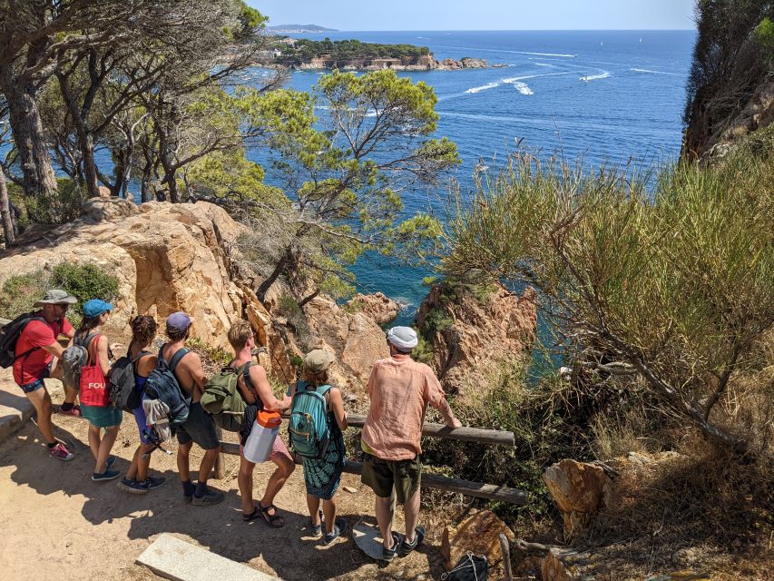 From Barcelona: Costa Brava Trails, Snorkeling & Cliff Jump - Small group energy: guides you’ll actually feel