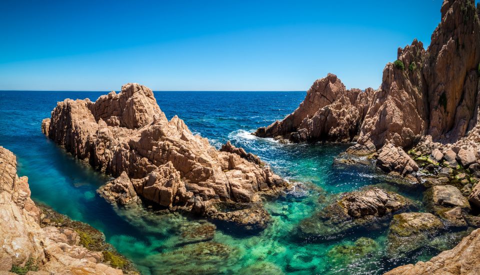 From Barcelona: Costa Brava Trails, Snorkeling & Cliff Jump - Snorkeling in clear water and a few “wow” wildlife moments