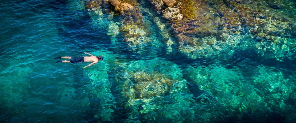 From Barcelona: Costa Brava Trails, Snorkeling & Cliff Jump - Cliff jumping as an option: safe spots, staged confidence