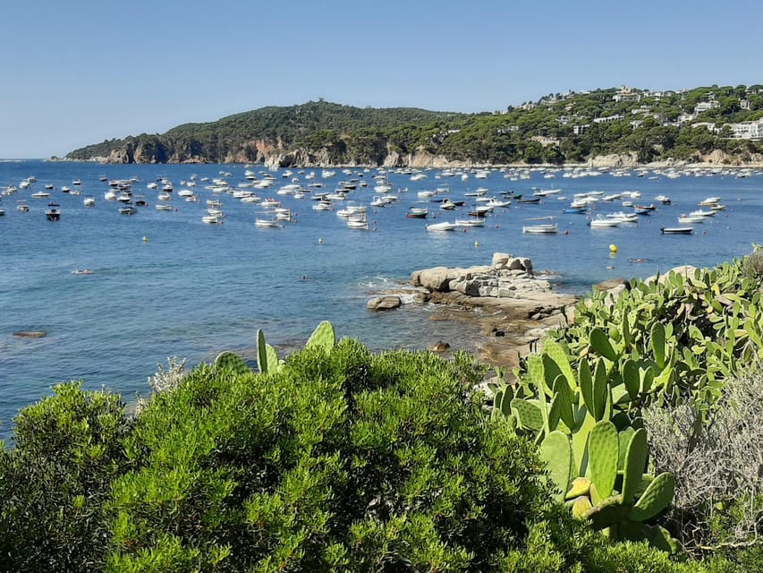 From Barcelona: Costa Brava Typical Towns full day tour - Price and value: what $74 buys you in real terms