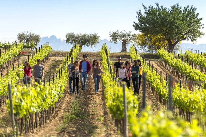 From Barcelona: El Penedès Hike & Wines - Key things that make this tour worth your time