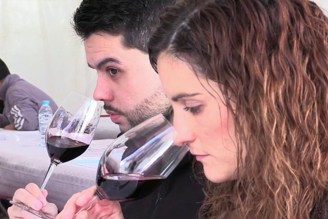 From Barcelona: El Penedès Hike & Wines - El Penedès hike: a 2-hour walk through vines, farmhouses, and effort