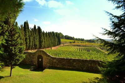 From Barcelona: El Penedès Hike & Wines - Montserrat views and Catalan snacks: learning without boredom