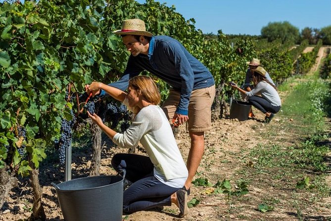 From Barcelona: El Penedès Hike & Wines - Price and value: where your money actually goes