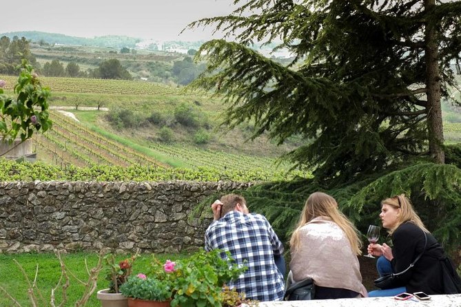 From Barcelona: El Penedès Hike & Wines - Who should book this, and who should skip it
