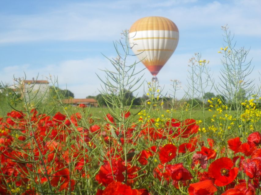 From Barcelona: Half-Day Hot Air Balloon Flight Ticket - What You’ll See Above Catalonia: Montserrat, Pyrenees, and Costa Brava