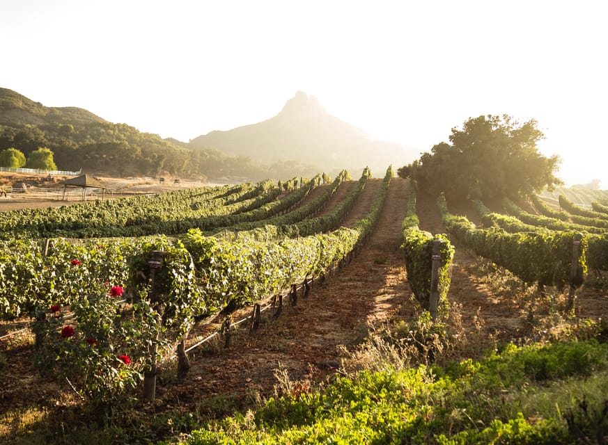 From Barcelona: Half-Day Trip to Montserrat Mountain - Price and value: when $930 per group makes sense