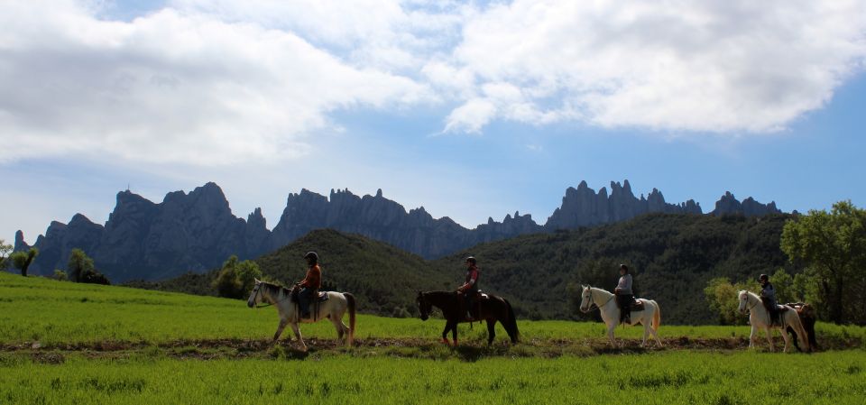 From Barcelona: Horseback Tour in Montserrat National Park - The ranch transition: meet the horses and get ready to ride