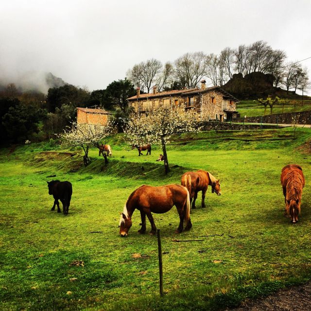 From Barcelona: Medieval Villages and Volcanic Hiking Tour - Key highlights worth planning around