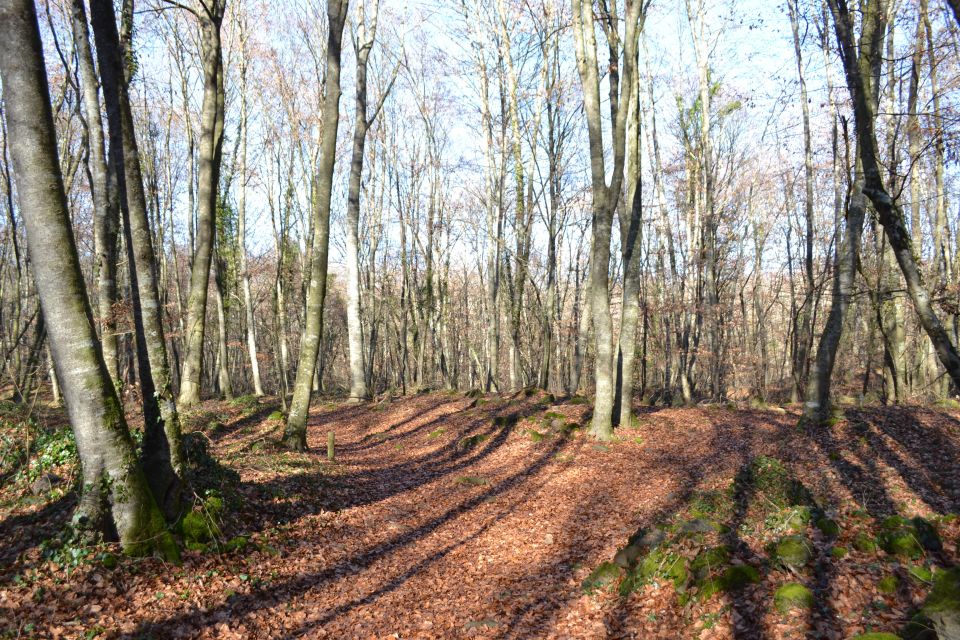 From Barcelona: Medieval Villages and Volcanic Hiking Tour - La Garrotxa hiking: following paths across three lava flows