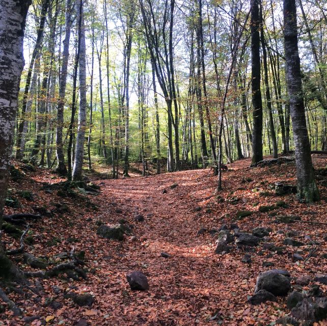 From Barcelona: Medieval Villages and Volcanic Hiking Tour - Besalú: free lunch time plus a guided walk through the medieval core