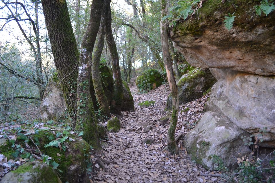 From Barcelona: Medieval Villages and Volcanic Hiking Tour - Should you book this Barcelona medieval villages and volcanic hiking tour?