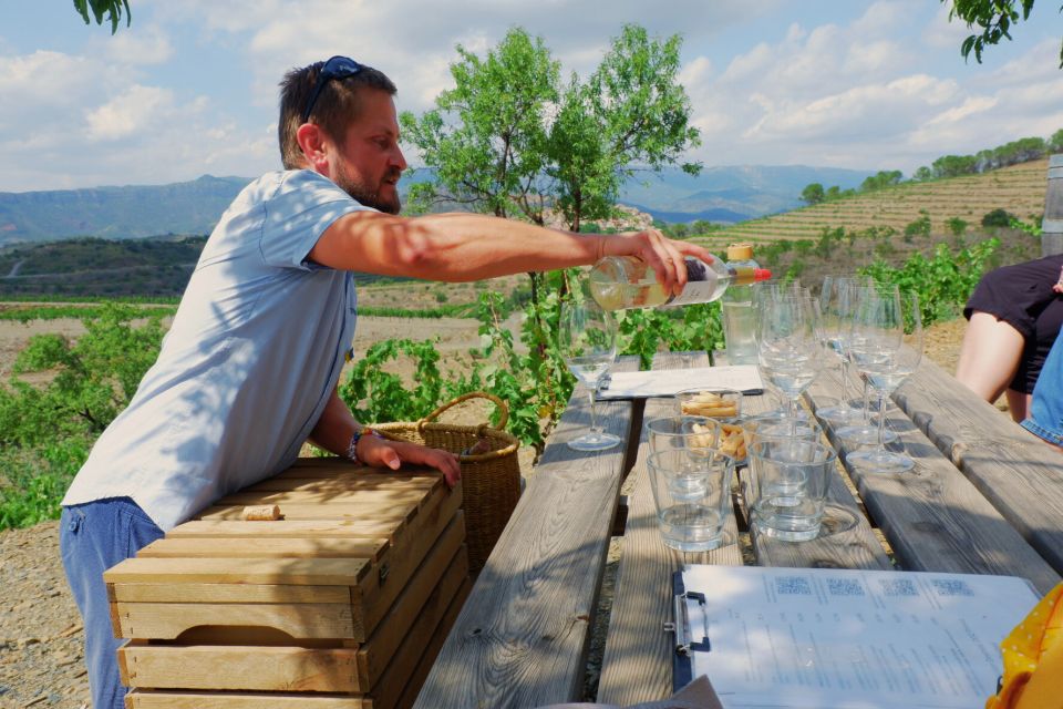 From Barcelona: Priorat's Exclusive Cellars, Wines & Nature - Priorat, in plain terms: why this day feels different