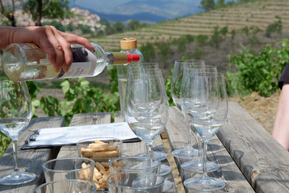 From Barcelona: Priorat's Exclusive Cellars, Wines & Nature - First wine stop: getting your bearings fast with two hours of tasting