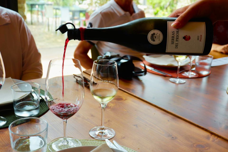 From Barcelona: Priorat's Exclusive Cellars, Wines & Nature - Leaving Barcelona: the ride that sets the tone