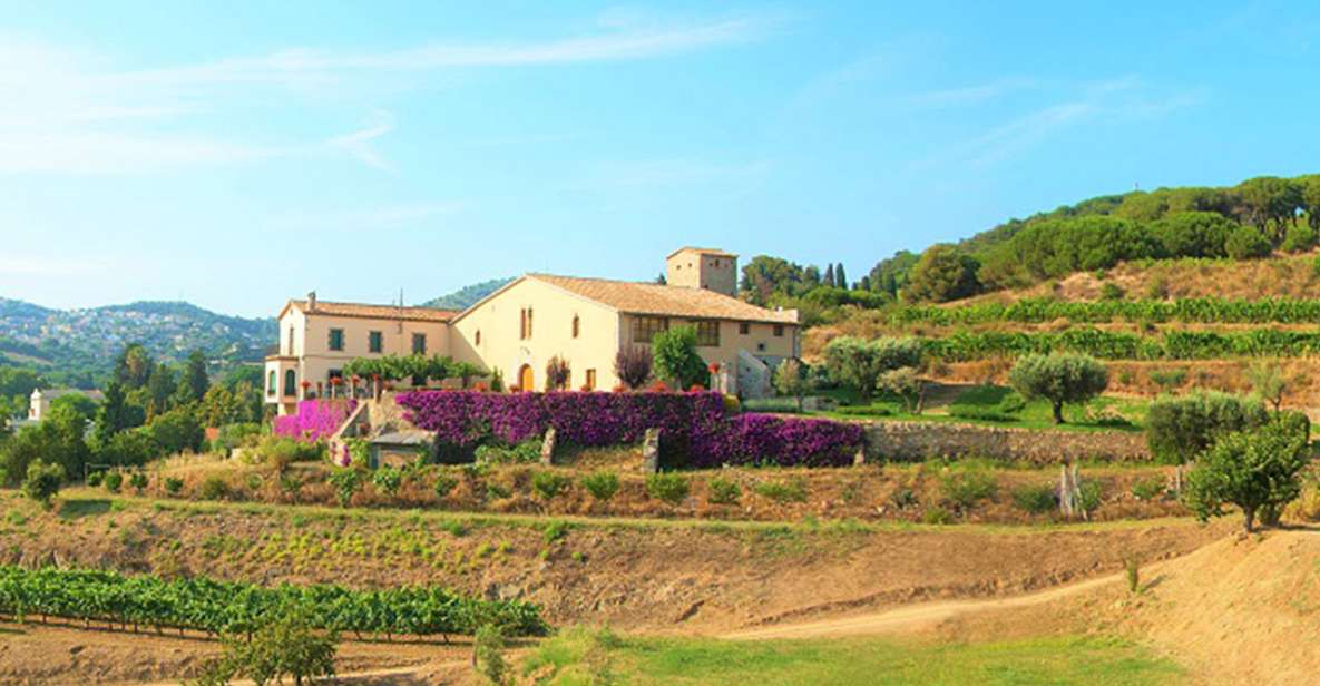 From Barcelona: Private Alella Wine Tour by Electric Bike - Quick hits before you go