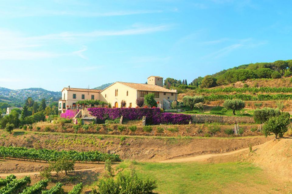 From Barcelona: Private Alella Wine Tour by Electric Bike - Alella E-Bike Wine Tour at a Glance: 6 Hours, 4 Wines, One Picnic