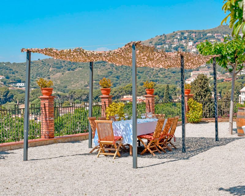 From Barcelona: Private Alella Wine Tour by Electric Bike - E-Bike Through the Coast: Serralada de Marina to Maresme Beaches