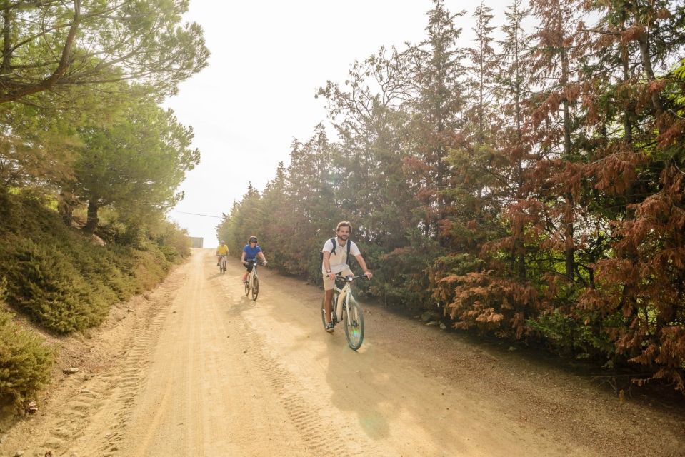 From Barcelona: Private Alella Wine Tour by Electric Bike - Alella’s Family-Run Organic Winery: The Part You’ll Remember