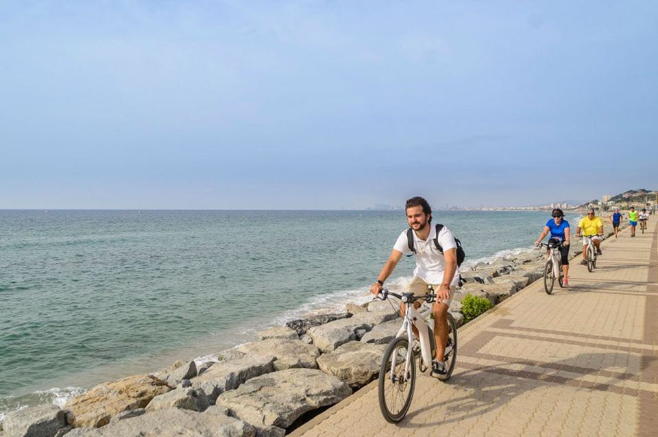 From Barcelona: Private Alella Wine Tour by Electric Bike - Vineyard Walk and Cellar Time: Turning What You See Into What You Taste