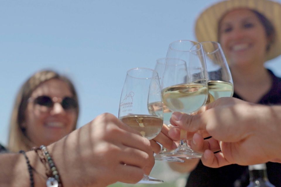 From Barcelona: Private Alella Wine Tour by Electric Bike - Picnic Lunch in the Vineyards: Bread, Cheese, and Sea-to-Vineyard Peace