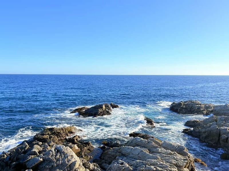 From Barcelona: Private Costa Brava Guided Tour - Lloret de Mar: beaches, a historic castle, and old-town wandering