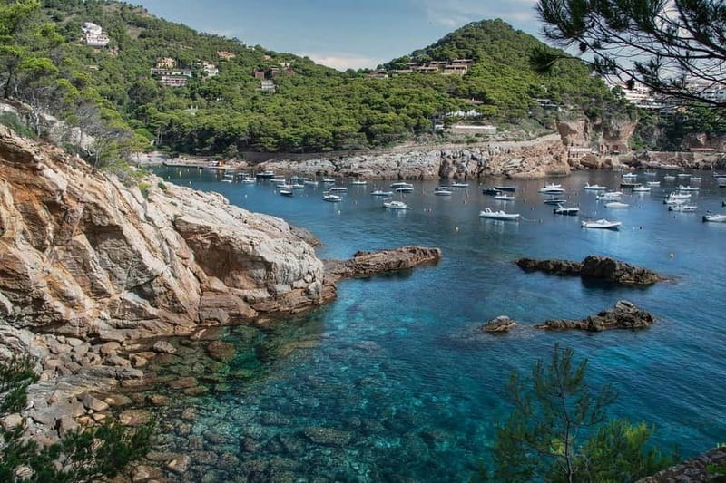 From Barcelona: Private Costa Brava Guided Tour - Price and value: what $680 for up to 3 really buys you