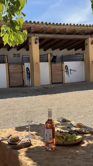From Barcelona: PRIVATE Horseback Ride + Tapas + Wine Picnic - Pica pica tapas after your ride: the countryside snack that matters