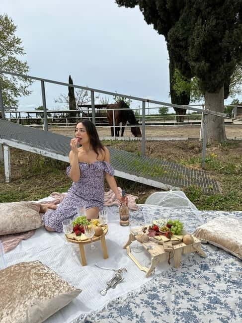 From Barcelona: PRIVATE Horseback Ride + Tapas + Wine Picnic - Price and logistics: is $225 per person good value?