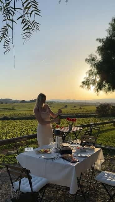 From Barcelona: PRIVATE Horseback Ride + Tapas + Wine Picnic - Who this Barcelona-to-Penedès horseback and tapas day suits best