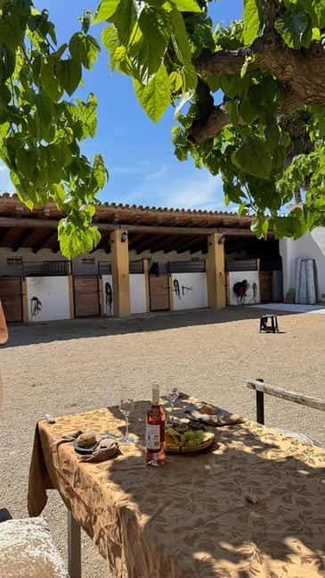 From Barcelona: PRIVATE Horseback Ride + Tapas + Wine Picnic - What the tour day feels like from start to finish