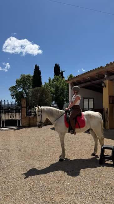 From Barcelona: PRIVATE Horseback Ride + Tapas + Wine Picnic - Should you book this Penedès horseback and tapas tour?
