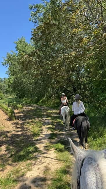 From Barcelona: PRIVATE Horseback Ride + Tapas + Wine Picnic - Saddle time in Penedès: the 1.5-hour ride through vineyards