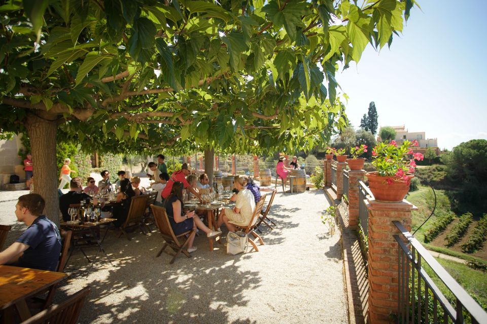 From Barcelona: Sailing and Wine Tasting Experience - Price and Value: Why $131 Can Make Sense (If You Like This Style)