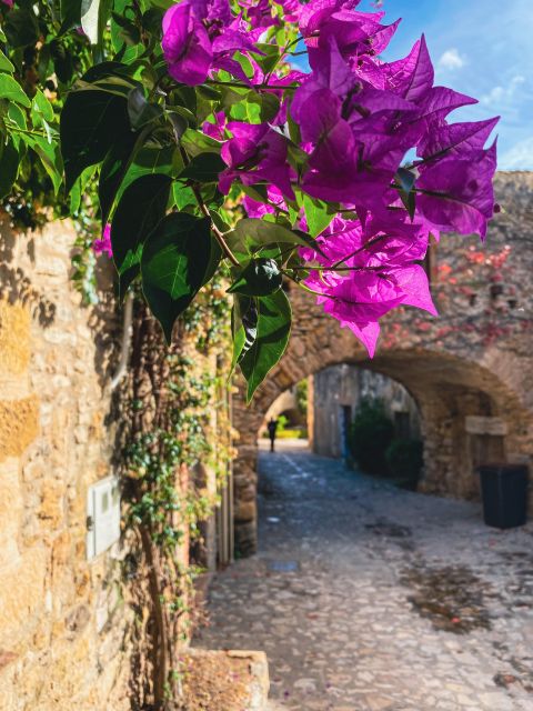From Barcelona: Small-Group Tour Costa Brava & Dali Museum - Figueres and the Dalí Museum: why this timing matters