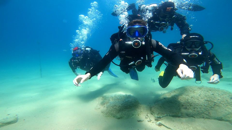 From Barcelona: Tossa de Mar Scuba Diving and 3-Course Meal - Final Call: Should You Book?