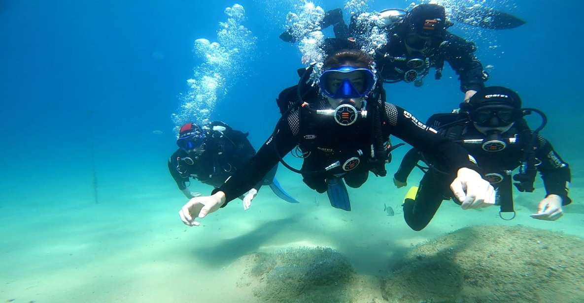 From Barcelona: Tossa de Mar Scuba Diving and 3-Course Meal - Timing, Group Size, and What Makes the Day Feel Easy
