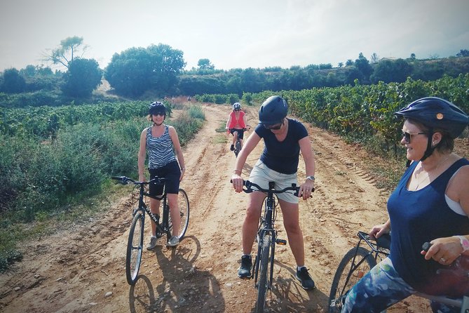From Sitges: Bike Tour and Winery Visit with Free Hotel Pick Up. - Wine and cava tasting: what to budget and how to order