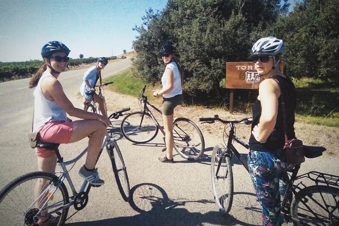 From Sitges: Bike Tour and Winery Visit with Free Hotel Pick Up. - Who should book this tour (and who might not)
