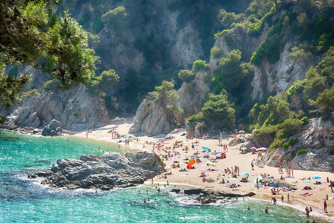 Girona and Costa Brava Private Tour with Pick-up from Barcelona - Tamariu lunch break: plan to eat, not to linger by the water