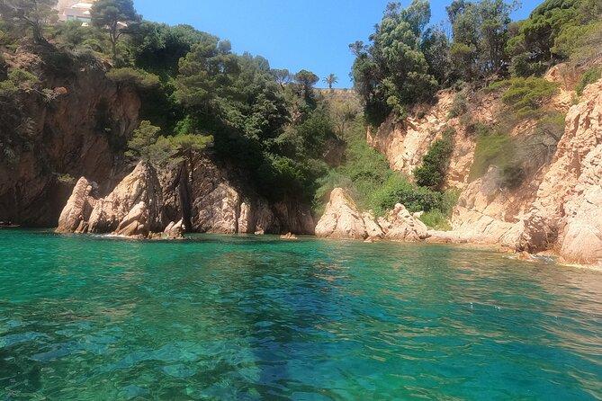 Guided Kayak & Snorkel tour to Costa Brava: Small Group and Lunch - Getting close to the coastline: why coves and small caves are more than scenery