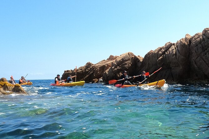 Guided Kayak & Snorkel tour to Costa Brava: Small Group and Lunch - The Mercedes van transfer: comfortable, air-conditioned, and not the main event