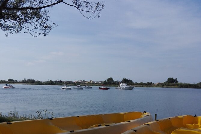 Guided Kayak Tour to Gracia Island - Stop 1: Lo Passador bridge and the old crossing story