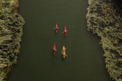 Guided Kayak Tour to Gracia Island - Where it starts: Riu a l’Ebre and the 5:00 pm departure