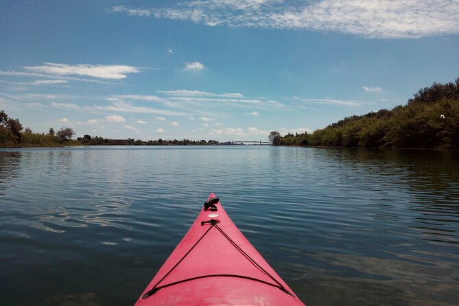 Guided Kayak Tour to Gracia Island - The guide experience: multilingual info at the right moments