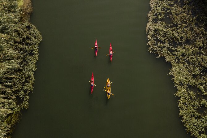 Guided Kayak Tour to Gracia Island - Where it starts: Riu a l’Ebre and the 5:00 pm departure