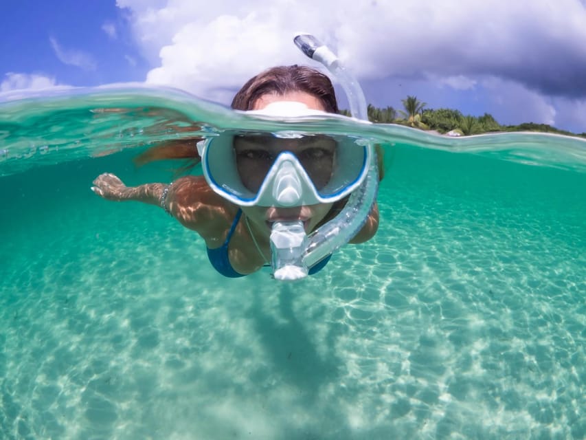 Guided Snorkel in Barcelona Beach - Key Highlights You’ll Actually Care About